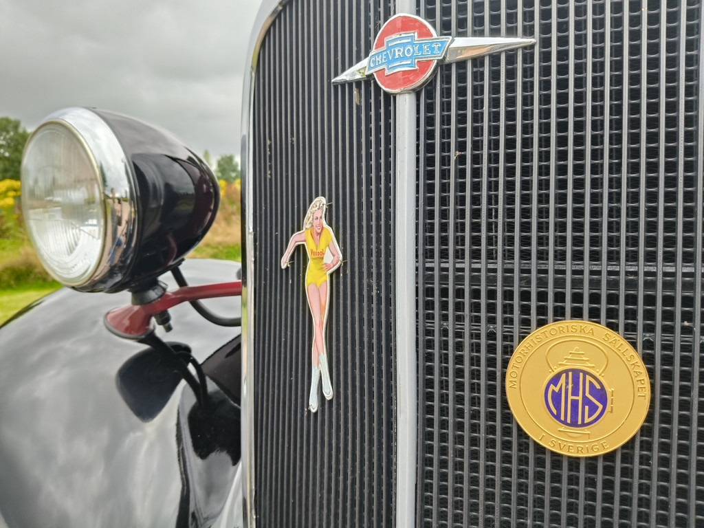 55081119-23.jpg