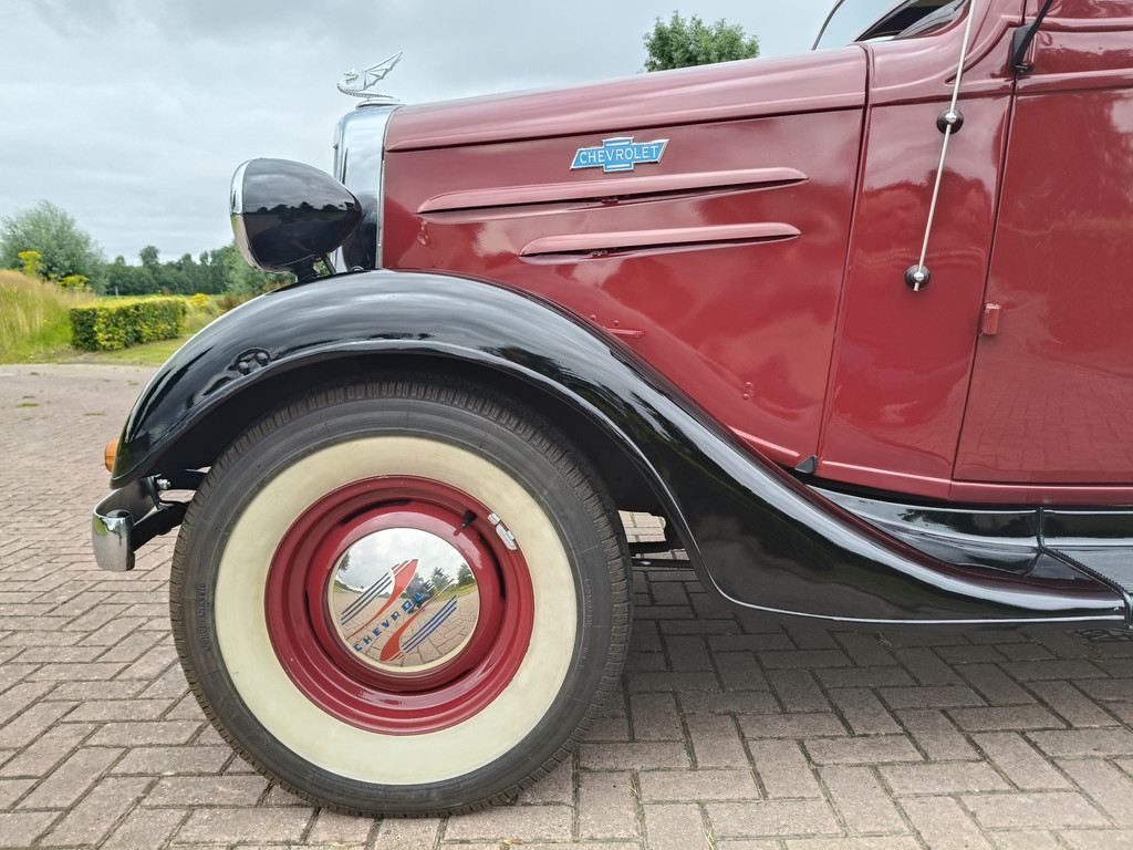 55081119-34.jpg