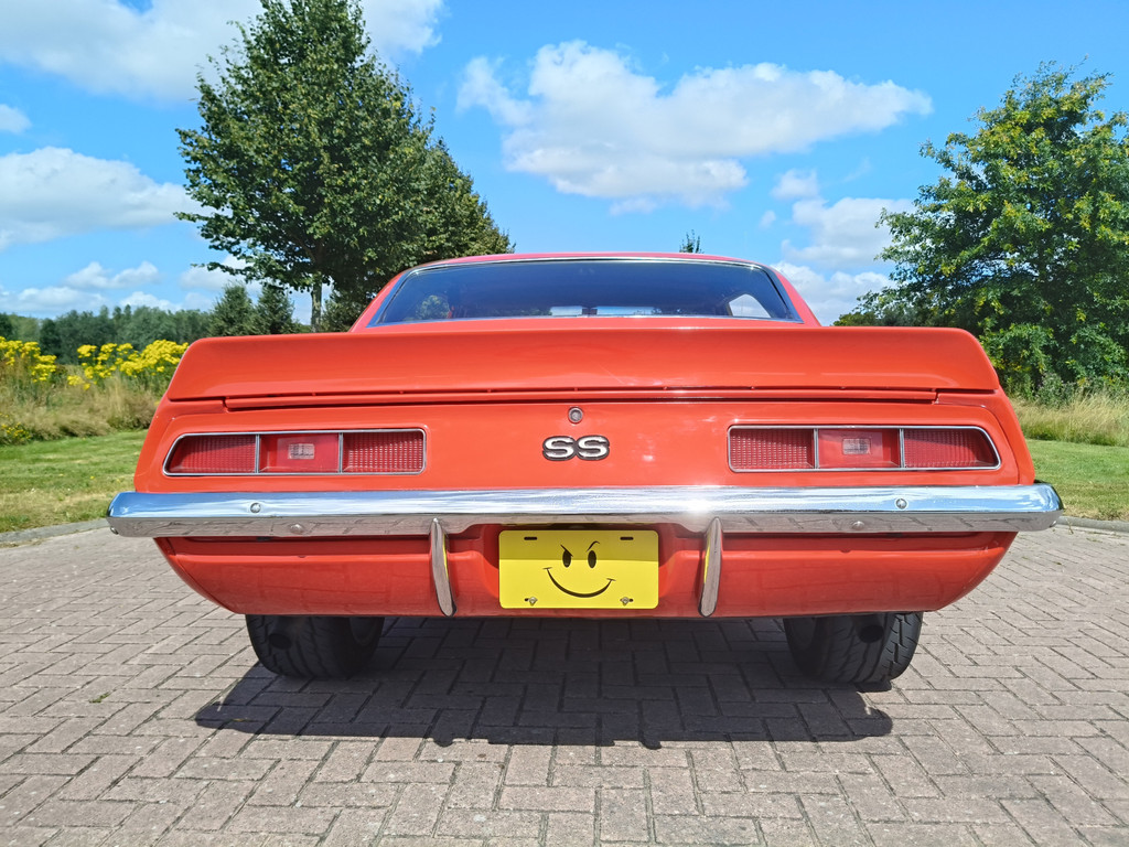 55120628-34.jpg