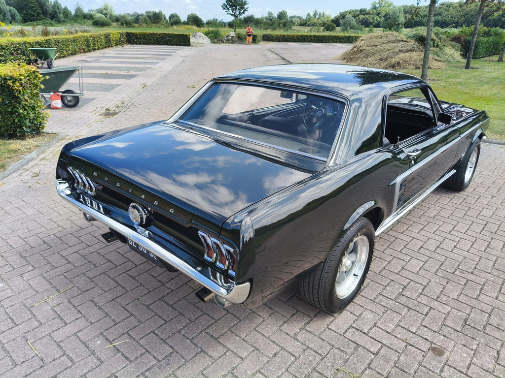 55124982-15.jpg