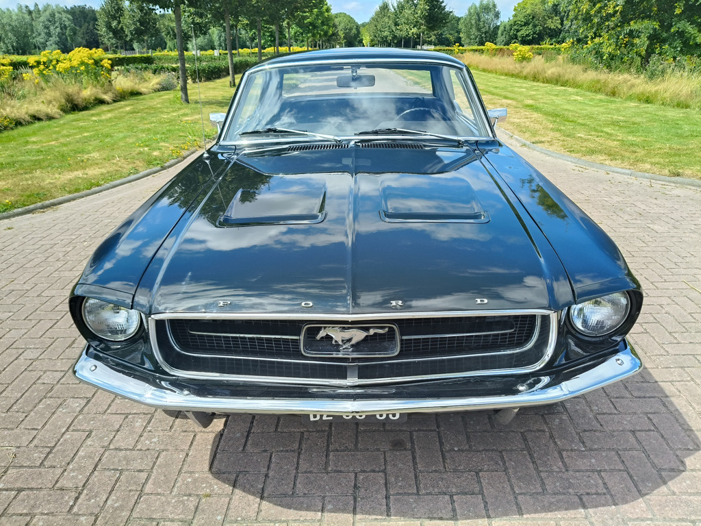 55124982-4.jpg