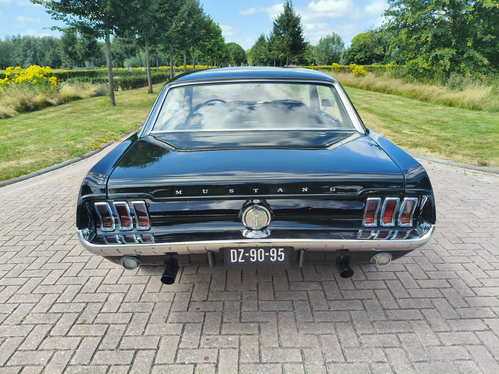 55124982-5.jpg