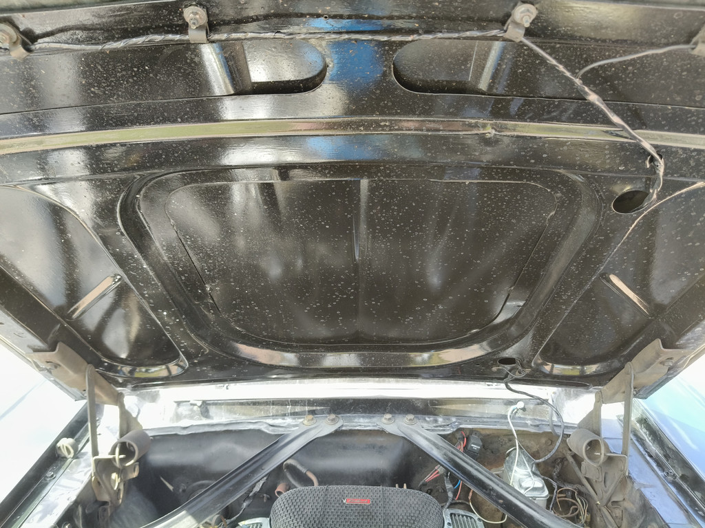 55124982-50.jpg