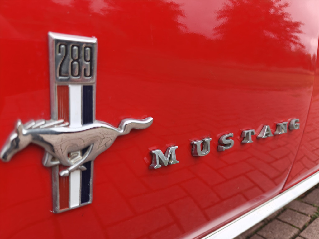55893366-24.jpg