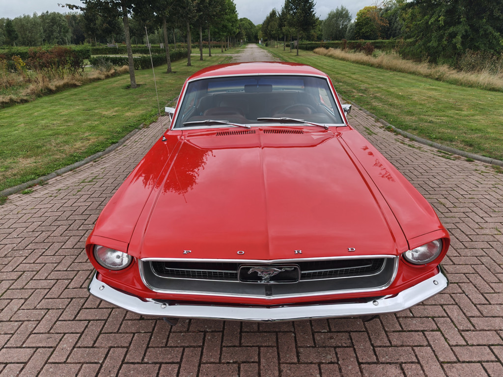 55893366-3.jpg