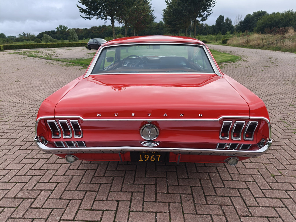 55893366-5.jpg