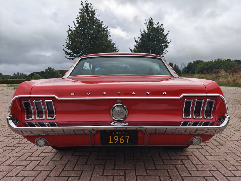 55893366-6.jpg