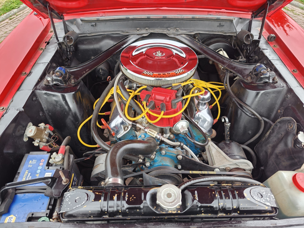 55893366-70.jpg