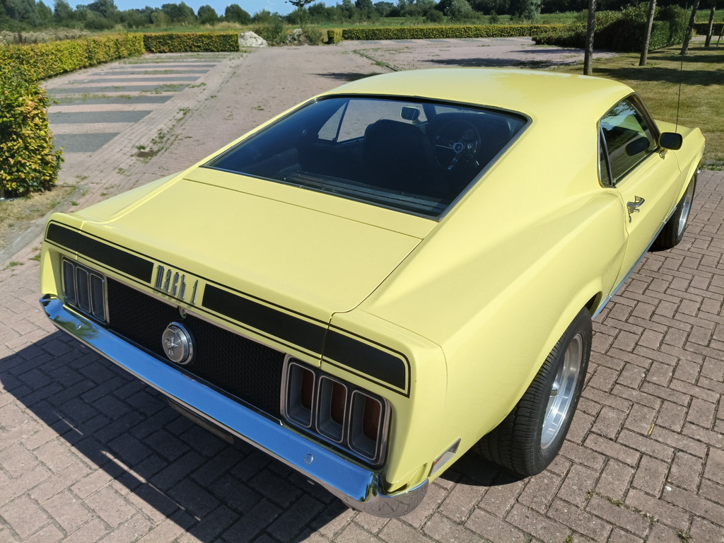 55905389-10.jpg