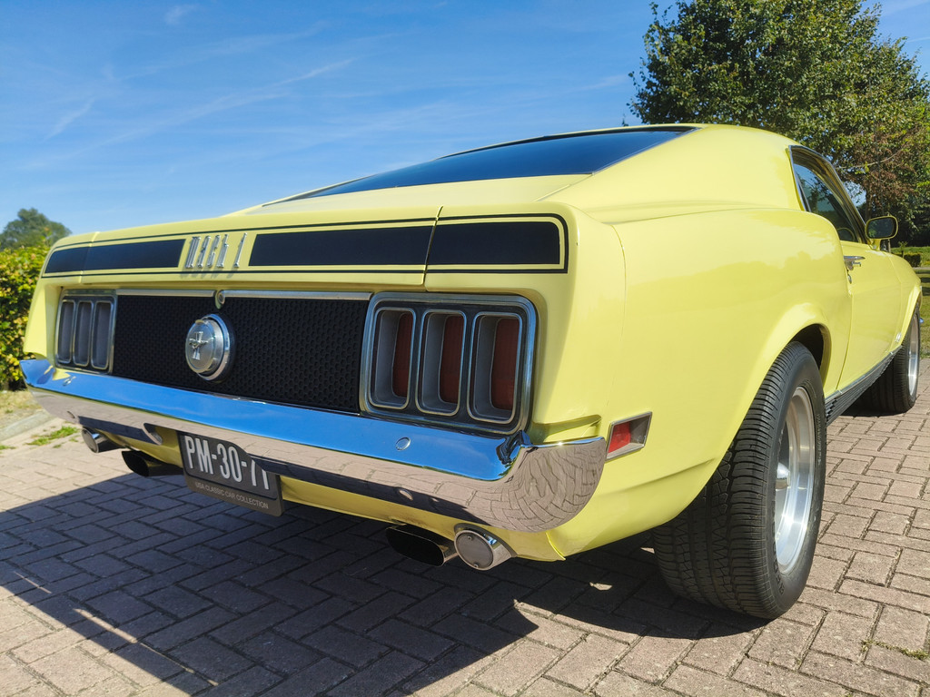 55905389-11.jpg