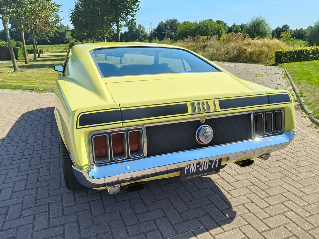 55905389-12.jpg