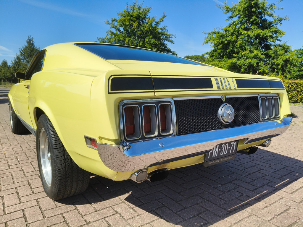 55905389-35.jpg