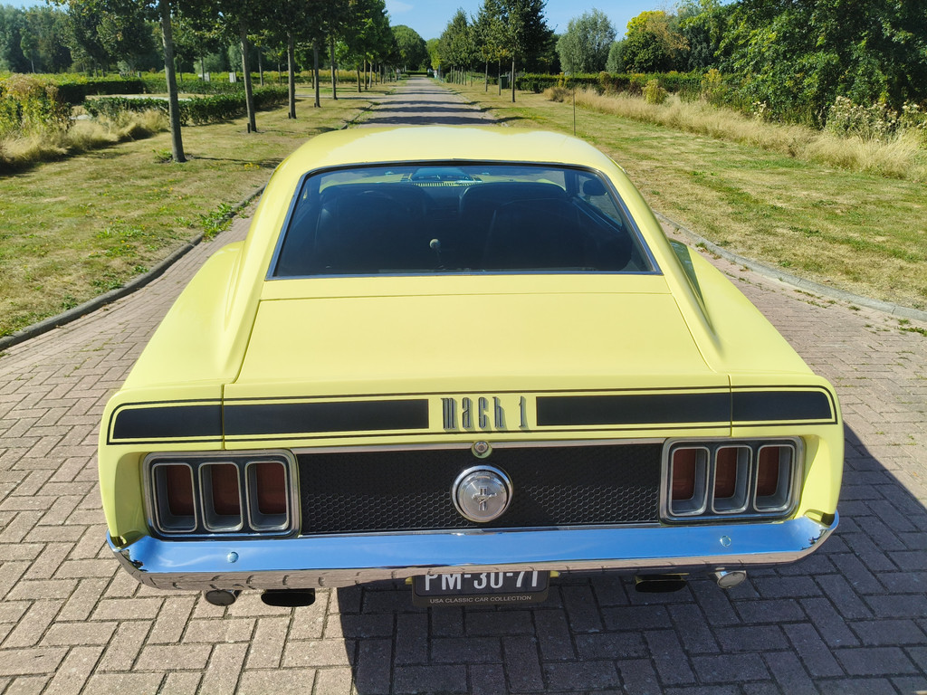 55905389-36.jpg