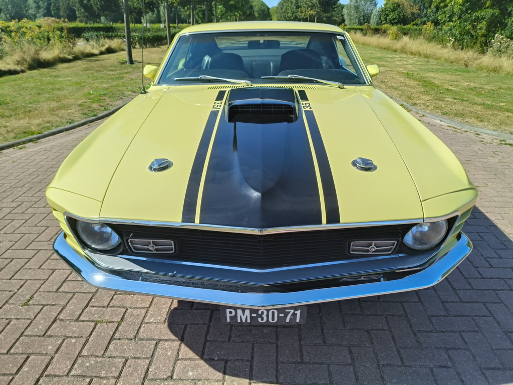 55905389-4.jpg