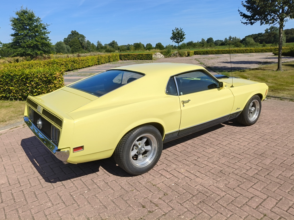 55905389-8.jpg