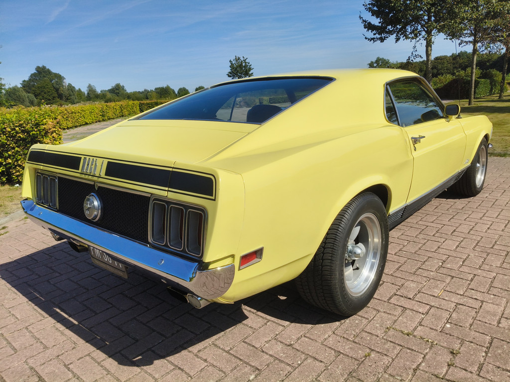 55905389-9.jpg