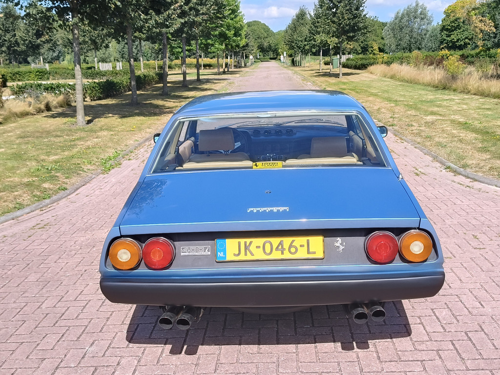 56137492-35.jpg