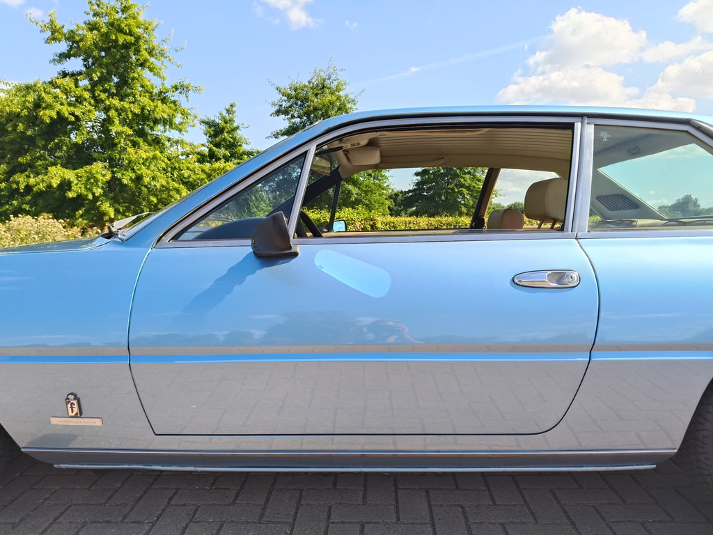 56137492-45.jpg