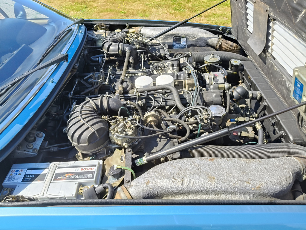 56137492-73.jpg