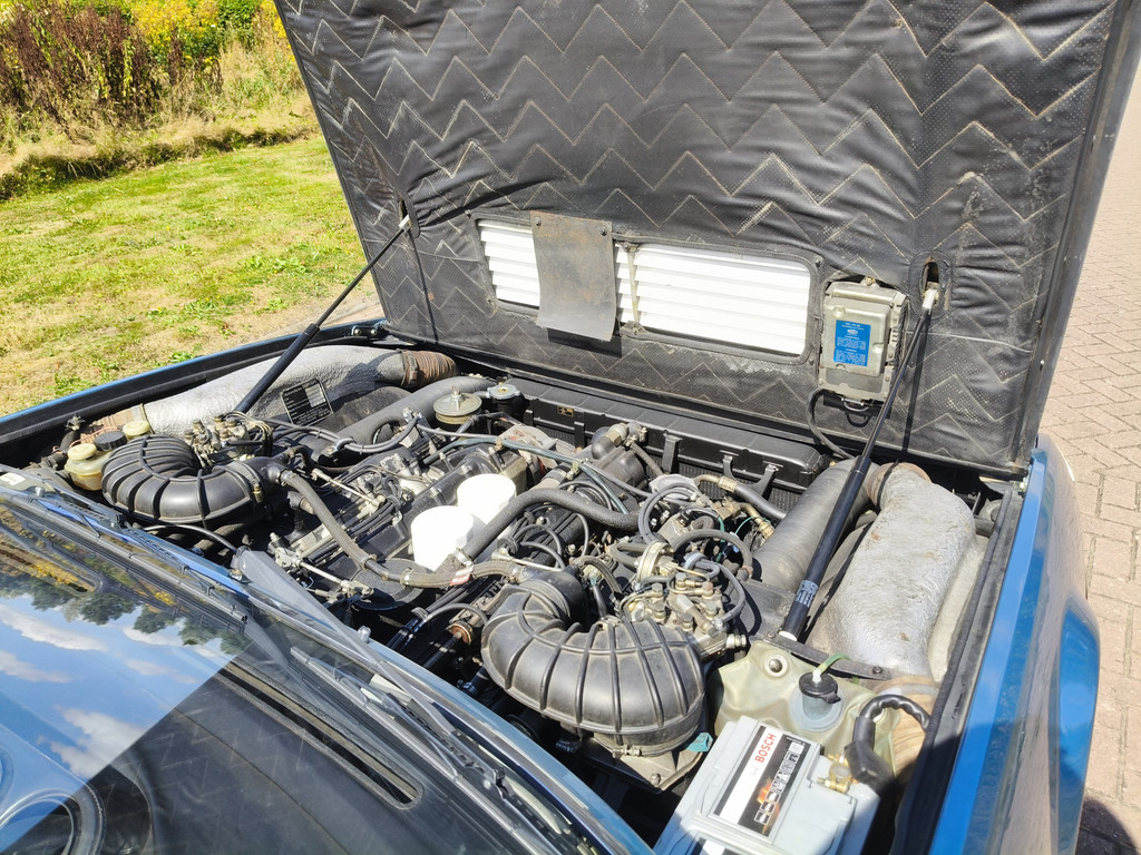 56137492-74.jpg