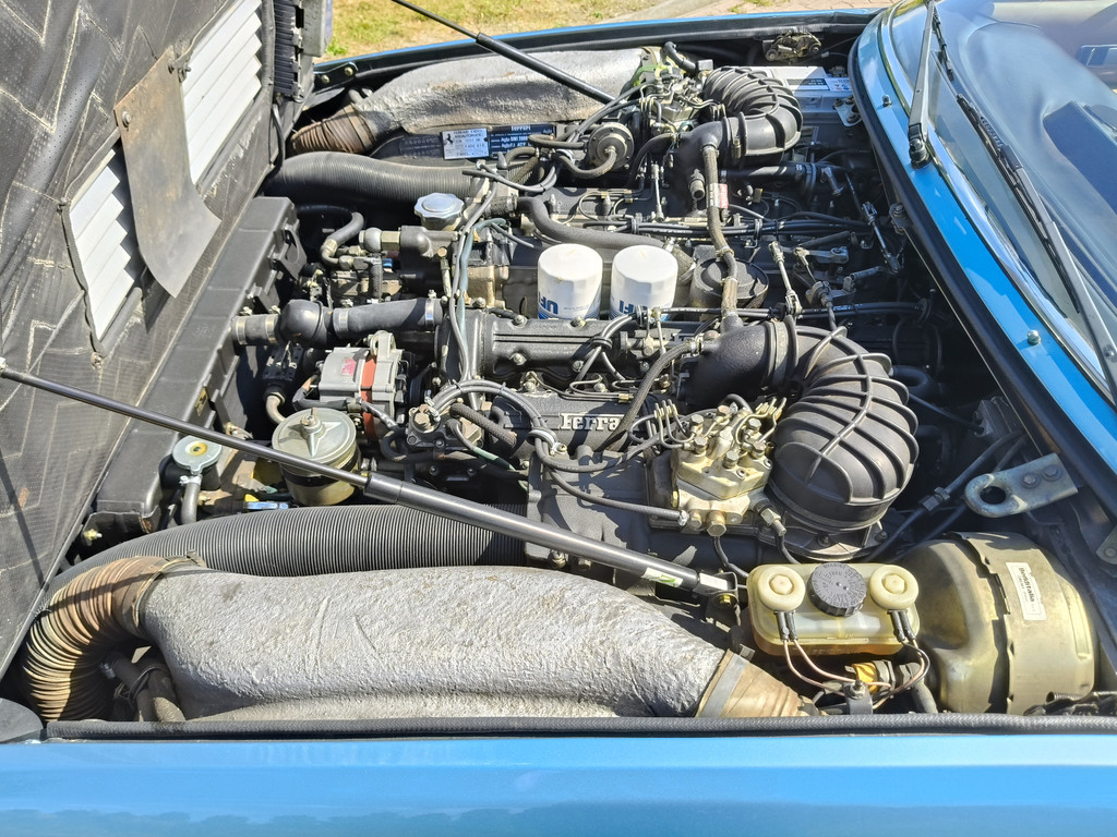 56137492-75.jpg