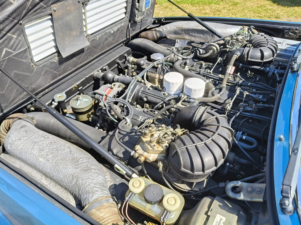 56137492-76.jpg