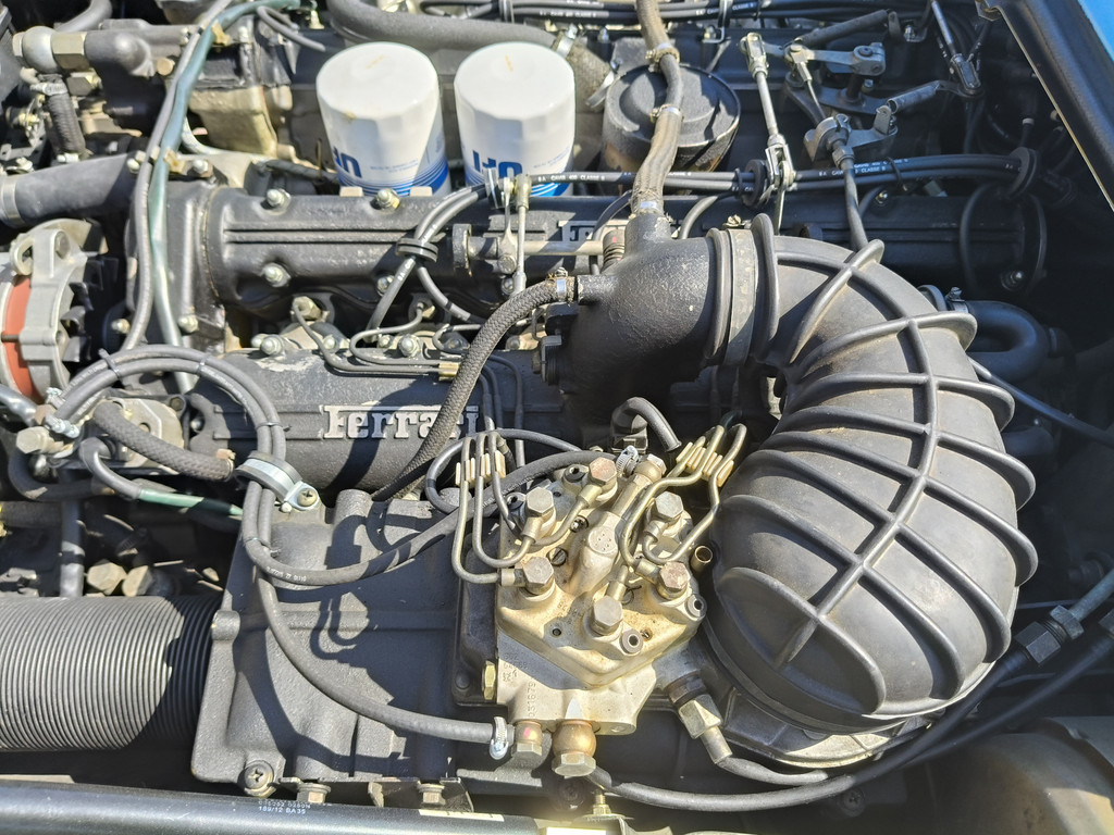 56137492-77.jpg