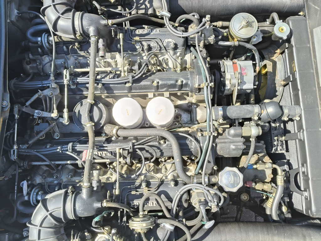 56137492-78.jpg