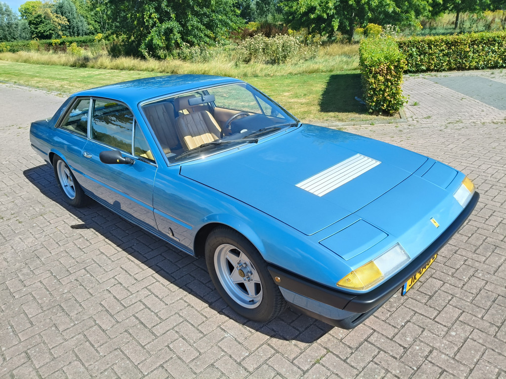 56137492-9.jpg
