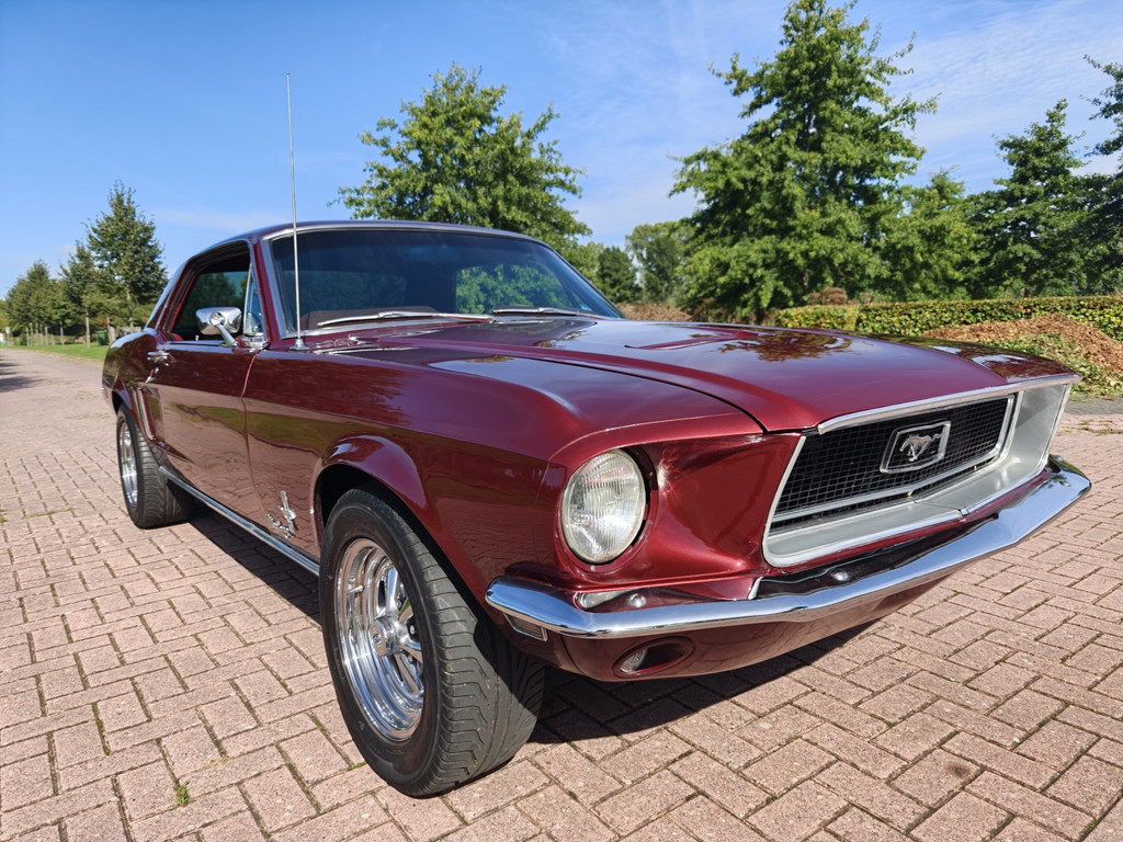 56315862-0.jpg