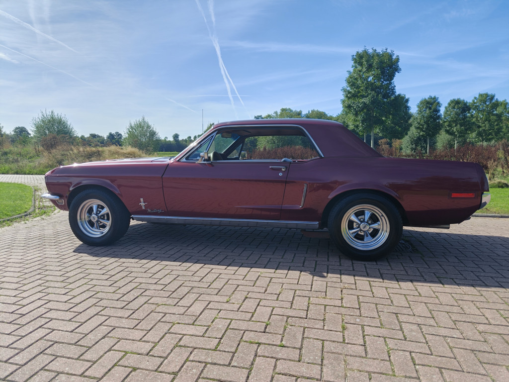 56315862-15.jpg
