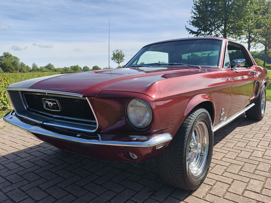 56315862-2.jpg