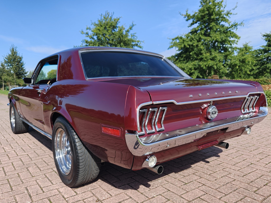56315862-3.jpg