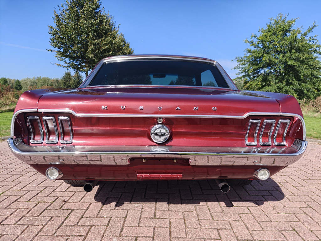 56315862-54.jpg