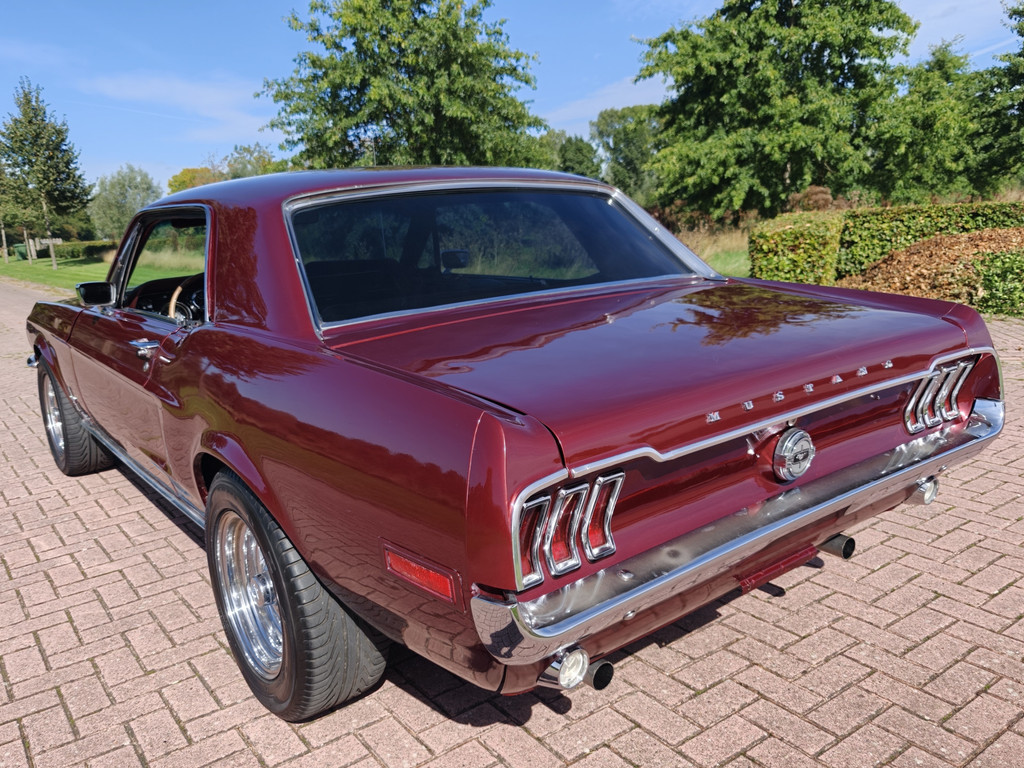 56315862-56.jpg