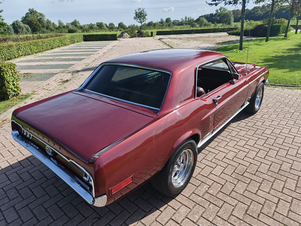 56315862-6.jpg