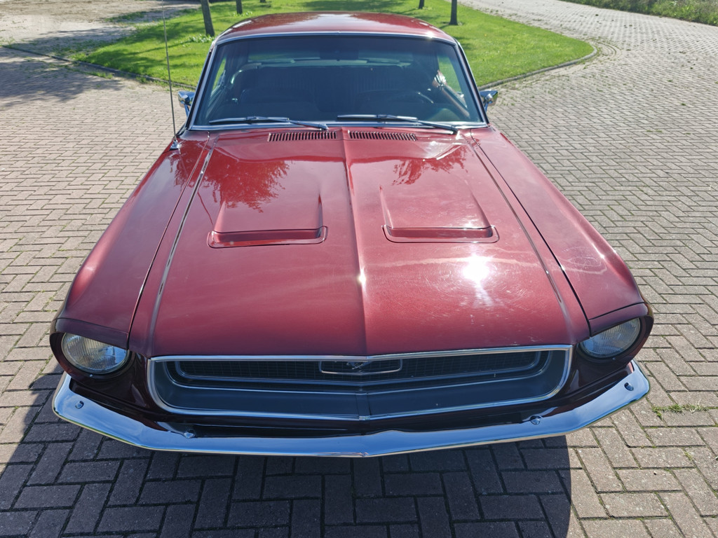 56315862-62.jpg