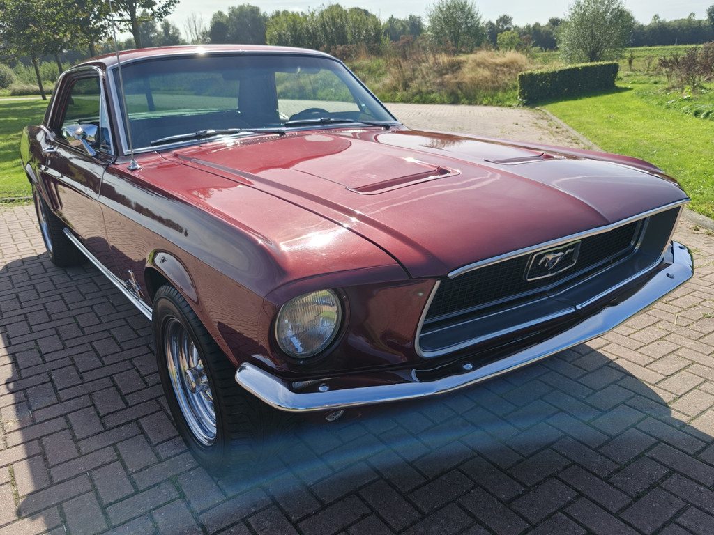 56315862-63.jpg
