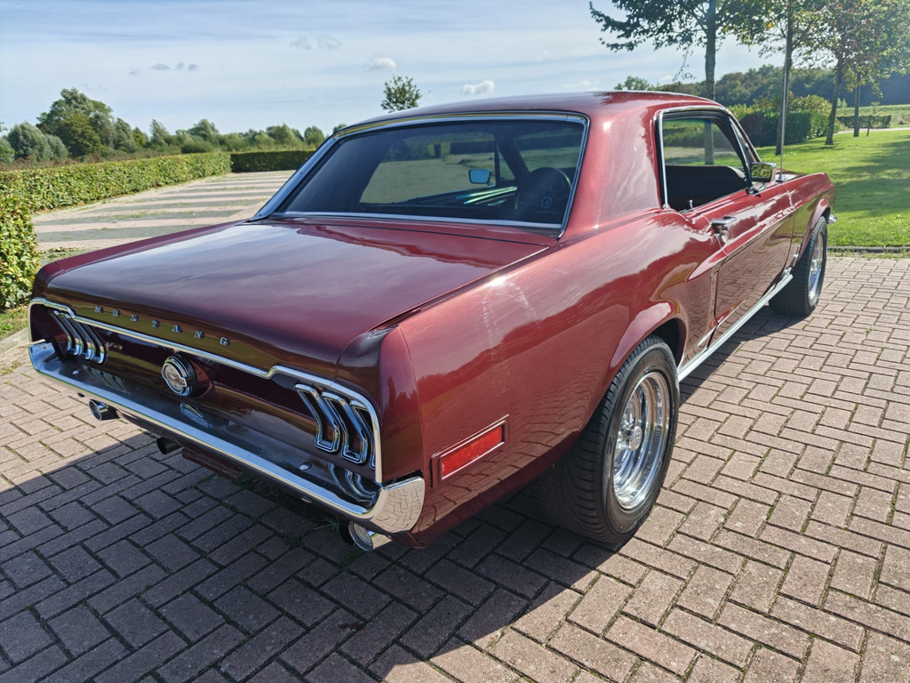 56315862-7.jpg