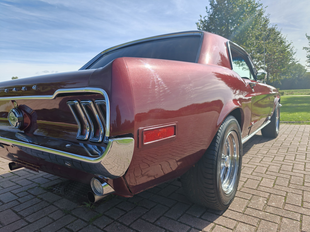 56315862-8.jpg