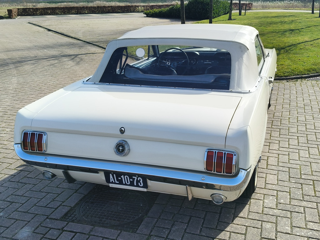56422257-10.jpg