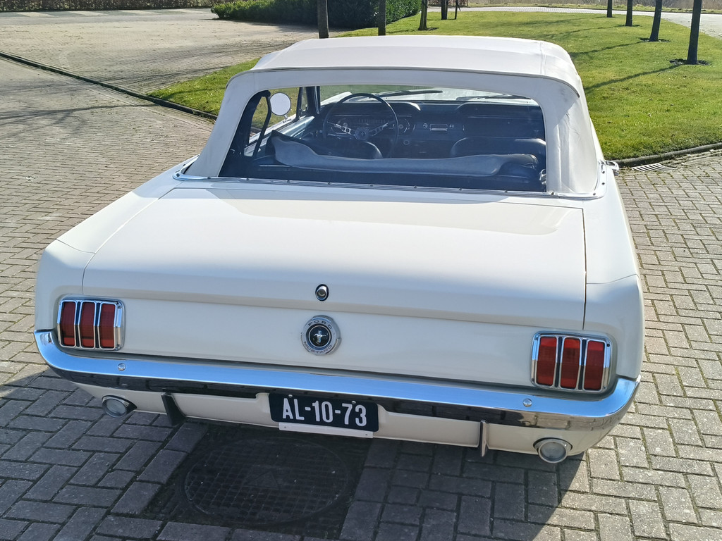 56422257-11.jpg