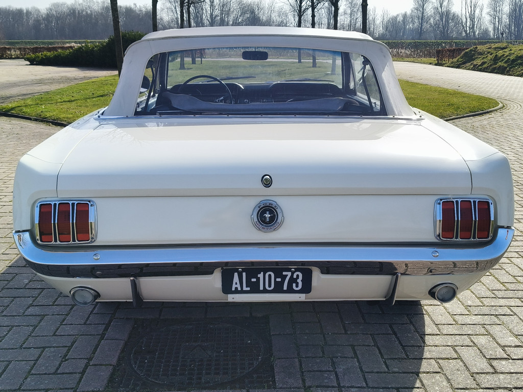 56422257-12.jpg