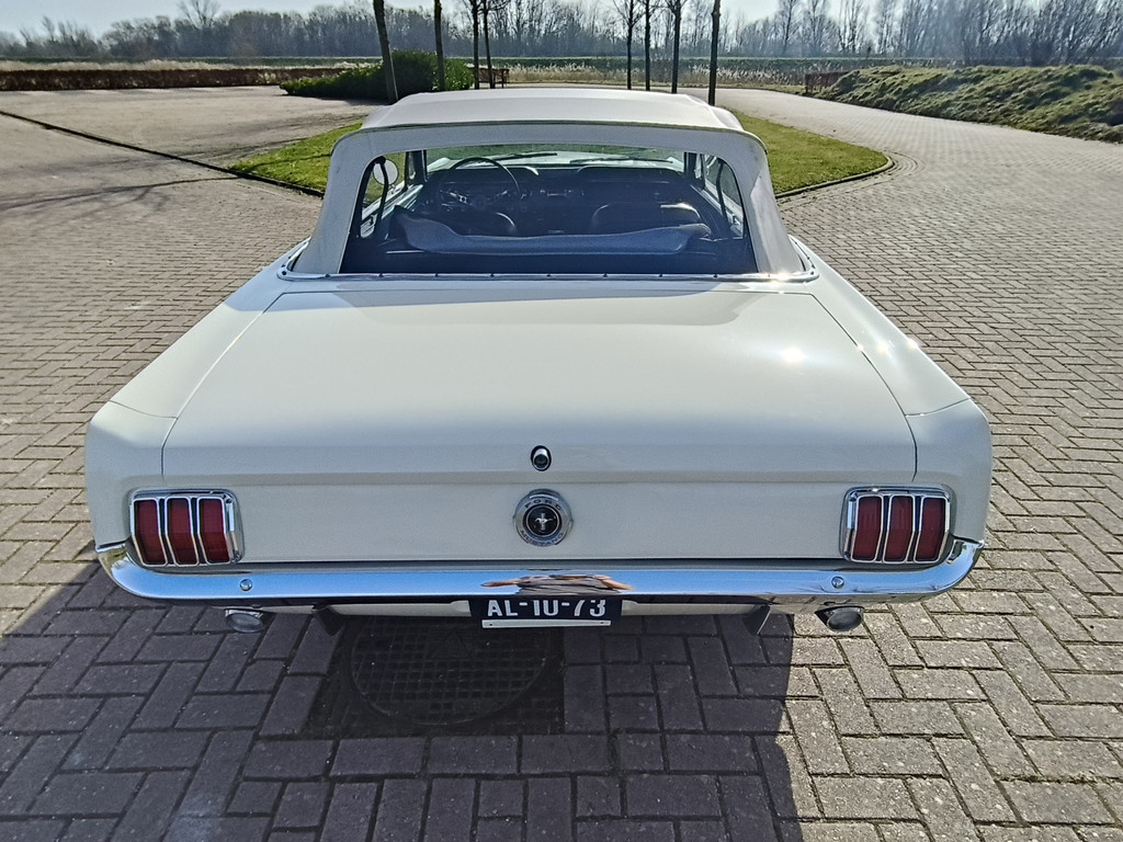 56422257-13.jpg