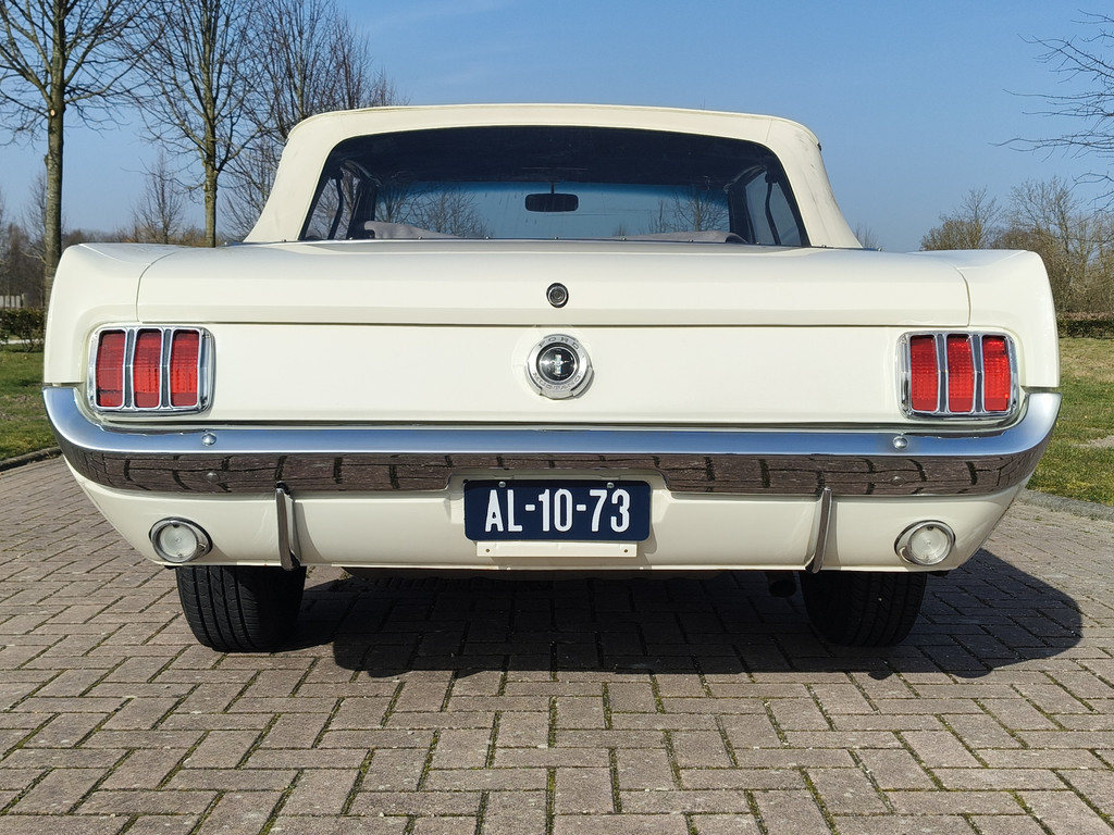 56422257-19.jpg