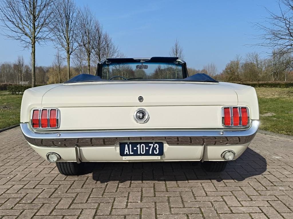 56422257-32.jpg