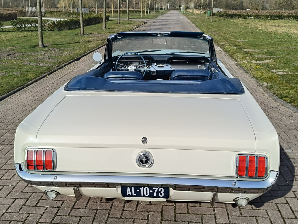 56422257-34.jpg