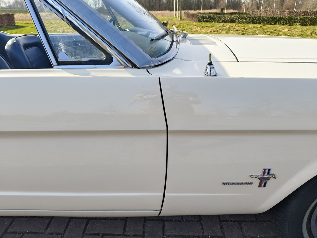 56422257-44.jpg