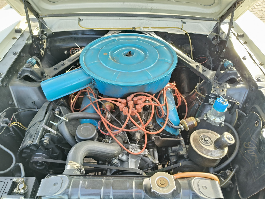56422257-80.jpg