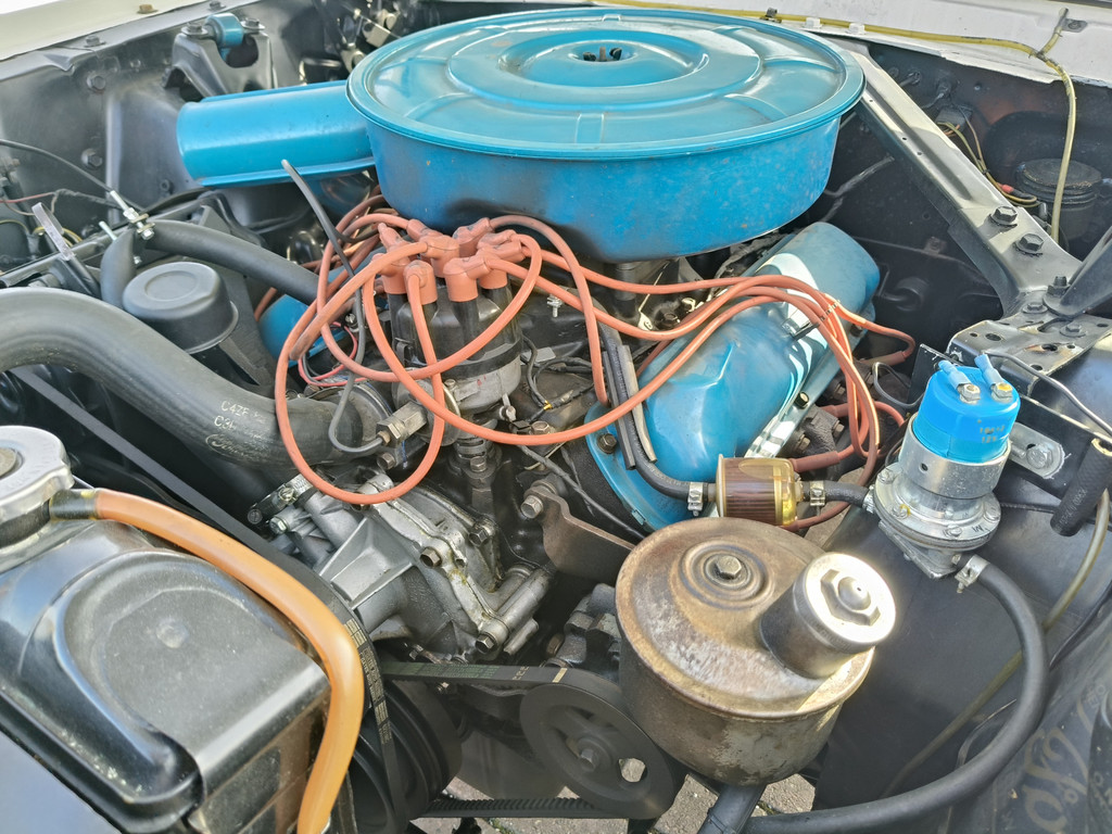 56422257-81.jpg